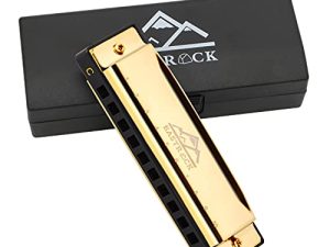 EastRock Blues Harmonica Mouth Organ 10 Hole C Key with Case، Diatonic Harmonica للاعب محترف ، مبتدئ ، هدايا الطلاب ، الكبار ، الأصدقاء ، هدية (ذهبي)