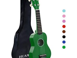 HUAWIND Kids Ukulele ، مقاس 21 بوصة سوبرانو القيثارة للمبتدئين ، جيتار هاواي للأطفال بأربعة أوتار من الخشب Uke للأطفال مع حقيبة الحفلة (أخضر)