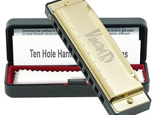VACHAN Blues Harmonica Mouth Organ 10 Holes 20 Tones C Key Beginner Harmonica مع حقيبة للأطفال والكبار والمبتدئين والمهنيين والطلاب ، ذهبي