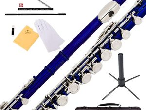 Mendini By Cecilio Flutes - فلوت C بفتحة مغلقة للمبتدئين ، فلوت مكون من 16 مفتاحًا مع حافظة ، وحامل ، وكتاب درس ، ومجموعة تنظيف ، وآلة موسيقية للأطفال ، وفلوت أزرق
