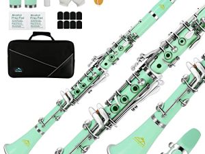 EASTROCK Clarinet Bb Flat 17 Nickel Keys Green Beginner Clarinet for Student مع 2 برميل من كلارينيت Cas ومجموعة تنظيف الكلارينيت.