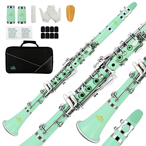 EASTROCK Clarinet Bb Flat 17 Nickel Keys Green Beginner Clarinet for Student مع 2 برميل من كلارينيت Cas ومجموعة تنظيف الكلارينيت. EASTROCK Clarinet Bb Flat 17 Nickel Keys Green Beginner Clarinet for Student مع 2 برميل من كلارينيت Cas ومجموعة تنظيف الكلارينيت.