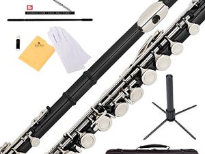 Mendini By Cecilio Flutes - فلوت C بفتحة مغلقة للمبتدئين ، فلوت مكون من 16 مفتاحًا مع حافظة ، وحامل ، وكتاب درس ، ومجموعة تنظيف ، وآلة موسيقية للأطفال ، وفلوت أسود
