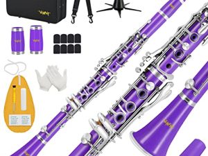 VANPHY Bb Clarinet للطالب المبتدئ ، B مسطح 17 مفتاح مطلي بالنيكل كلارينيت مع حافظة ، حامل ، حزام ، 2 برميل ، 8 وسادة لسان الحال ، قفازات بيضاء ، مجموعة تنظيف (أرجواني)