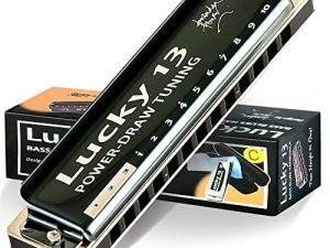 East top Lucky 13 Bass Plus Blues Harmonica 13 حفرة Diatonic Harp Mouth Organ آلات موسيقية احترافية PowerDraw C مفتاح للبالغين