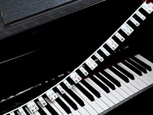 ملصقات لوحة المفاتيح للبيانو 88 مفتاحًا ، ملصقات مفاتيح Piano Rake تراكب قابلة للإزالة للأطفال المبتدئين