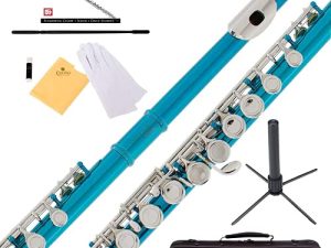 Mendini By Cecilio Flutes - فلوت C بفتحة مغلقة للمبتدئين ، فلوت مكون من 16 مفتاحًا مع حافظة ، وحامل ، وكتاب درس ، ومجموعة تنظيف ، وآلة موسيقية للأطفال ، وفلوت أزرق سماوي