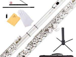 Mendini By Cecilio Flutes - فلوت C بفتحة مغلقة للمبتدئين ، فلوت مكون من 16 مفتاحًا مع حافظة ، وحامل ، وكتاب درس ، ومجموعة تنظيف ، وآلة موسيقية للأطفال ، مطلية بالنيكل