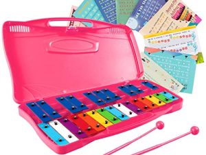 Costzon 25-Note Xylophone w / Case ، لعبة موسيقية ملونة مع مفاتيح معدنية مضبوطة شفافة ، 2 مطرقة آمنة للأطفال ، أداة مضبوطة تمامًا للأطفال ، الأطفال الصغار (مع أوراق الموسيقى ، وردي)